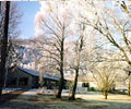 Hostel Aviemore Youth Scotland