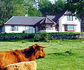 Drumbuie Farm