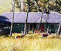 Loch Ossian Youth